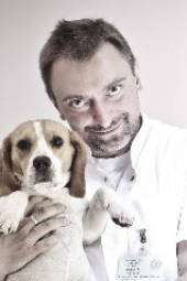 Bruno MONTEIRO, Professor (Assistant), Doctor of Veterinary Medicine, Institute of Health and Animal Production (Ispa)